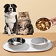 dog feeding bowl